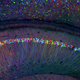 Illustration for article titled 10 Images That Changed the Course of Science (And One That Is About To)
